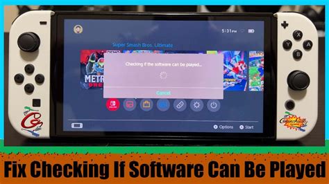 Nintendo Switch Checking Software Can Be Played: A Discussion on Its Impact and Usefulness